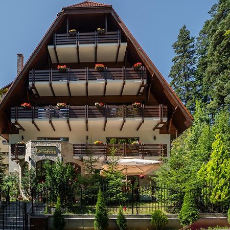 Opus Villa Sinaia Buitenkant foto The chalet in 2012