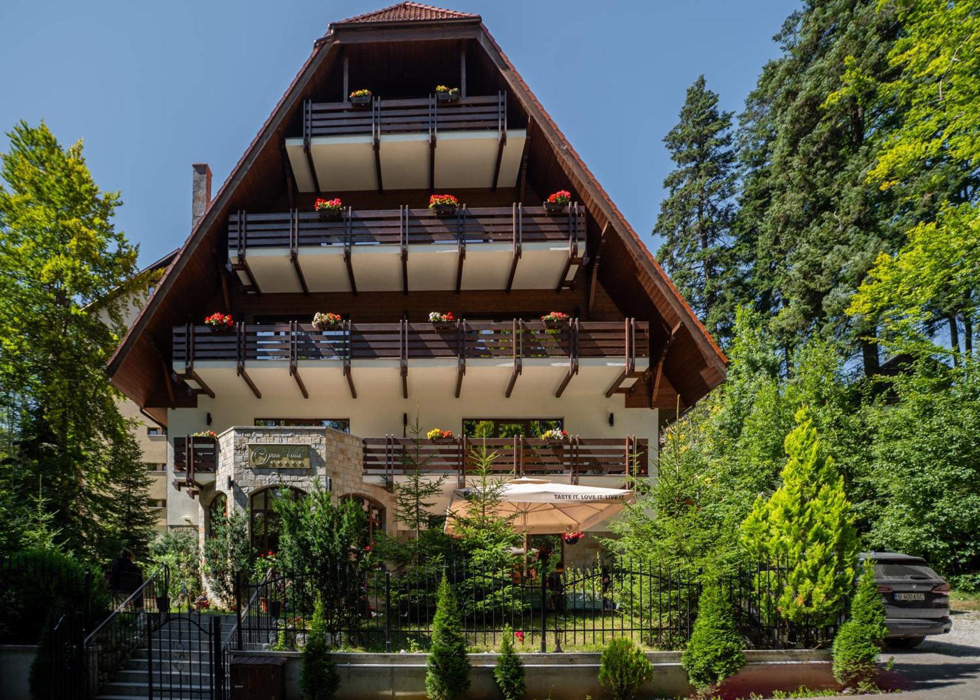Opus Villa Sinaia Buitenkant foto The chalet in 2012