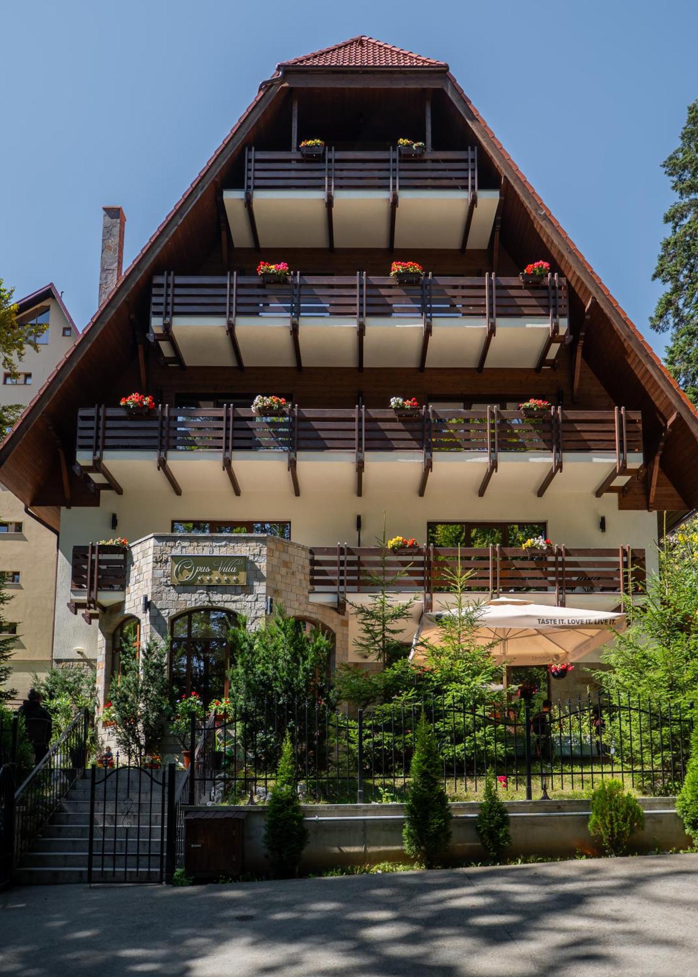Opus Villa Sinaia Buitenkant foto The house of the writer in the village of Vrana