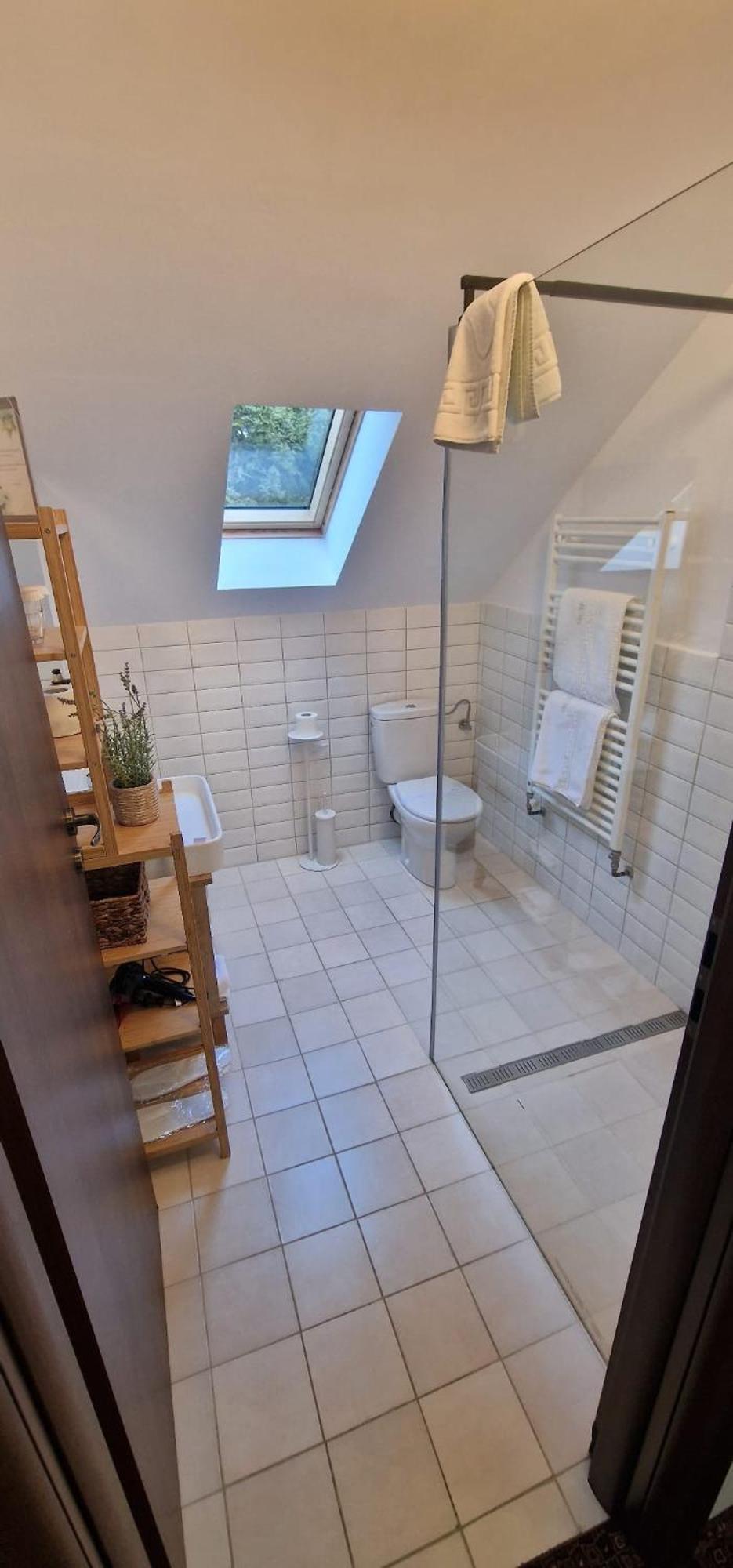 Opus Villa Sinaia Buitenkant foto Bathroom with shower